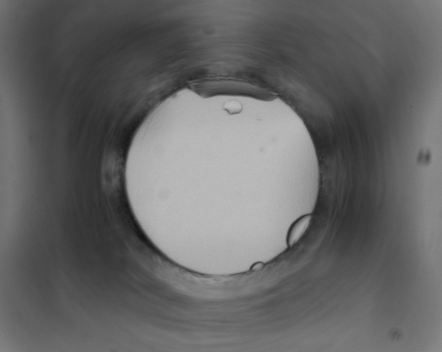 X0000101430038200808041201