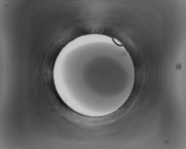 X0000101430039200808041201