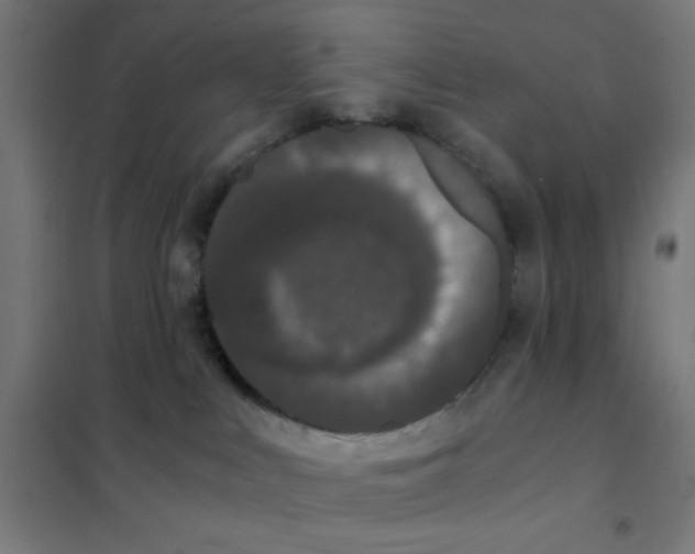 X0000101430043200808041201