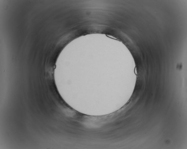 X0000101430045200808041201