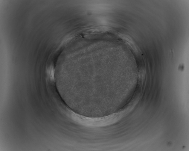 X0000101430046200808041201