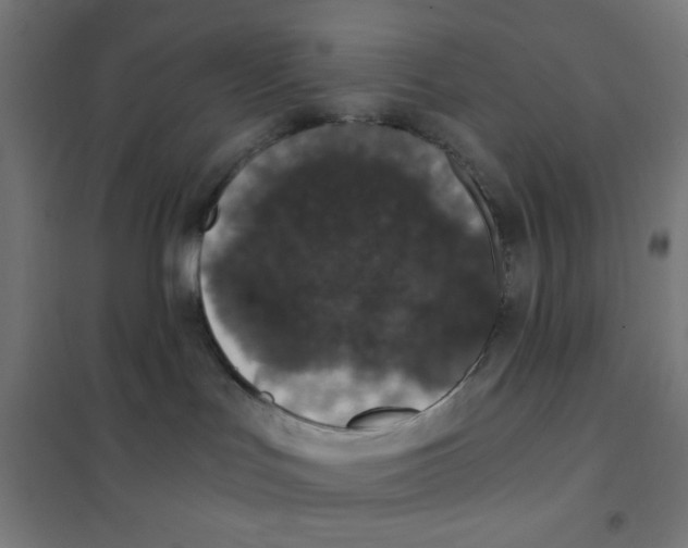 X0000101430047200808041201