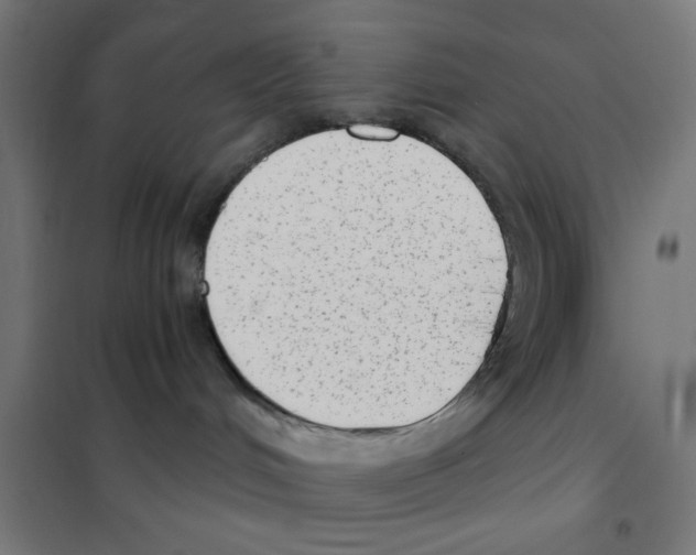 X0000101430048200808041201