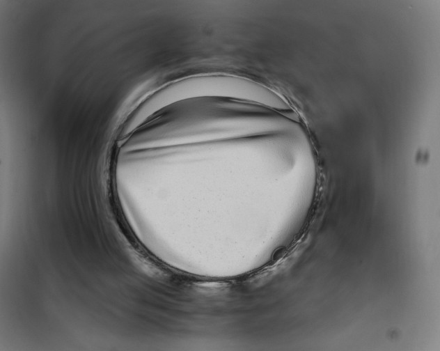 X0000101430053200808041201