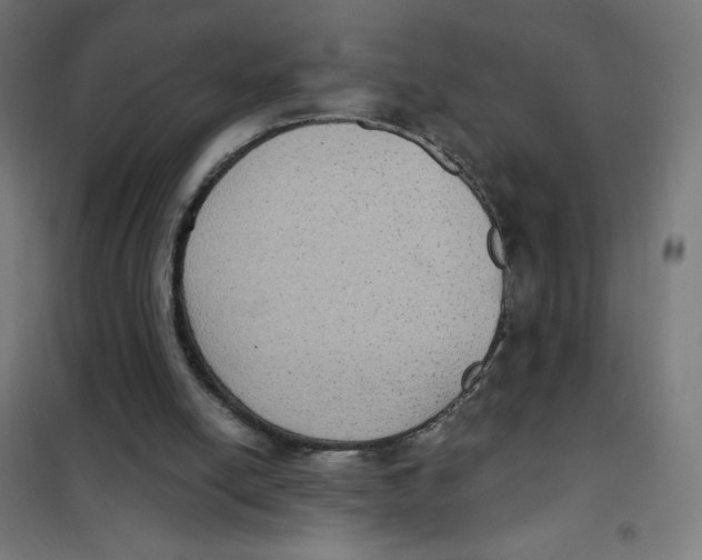 X0000101430054200808041201