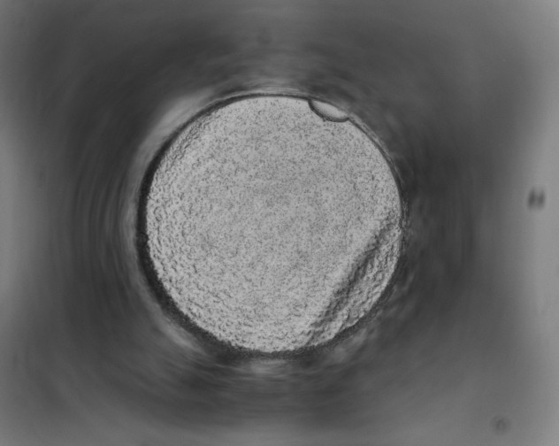 X0000101430055200808041201