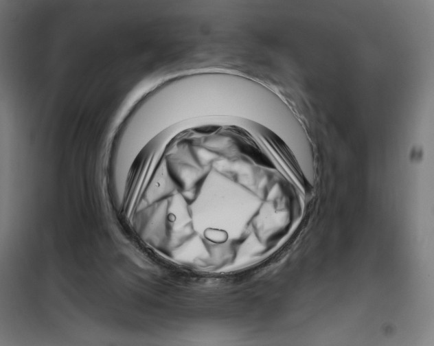 X0000101430056200808041201