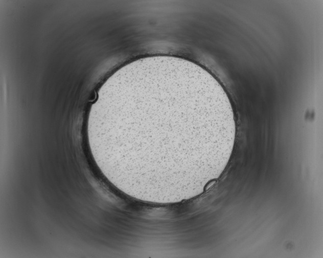 X0000101430058200808041201