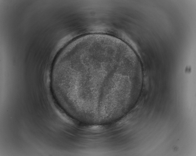 X0000101430059200808041201