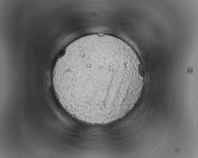 X0000101430061200808041201