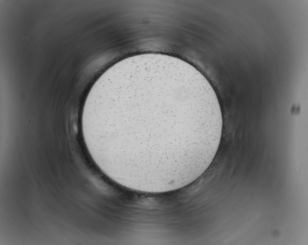 X0000101430062200808041201