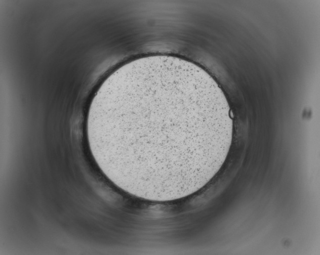 X0000101430064200808041201