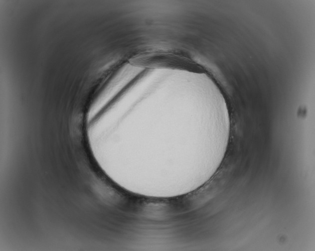 X0000101430066200808041201