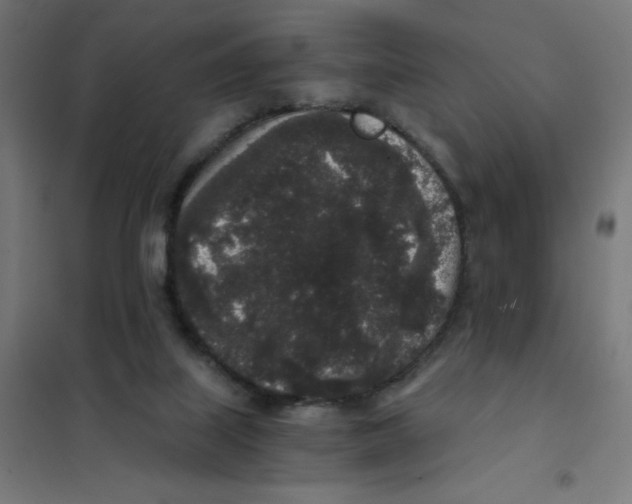 X0000101430067200808041201