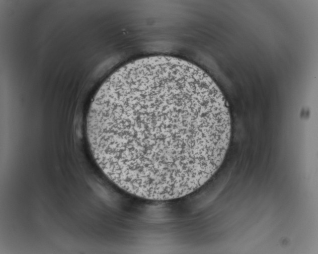 X0000101430068200808041201