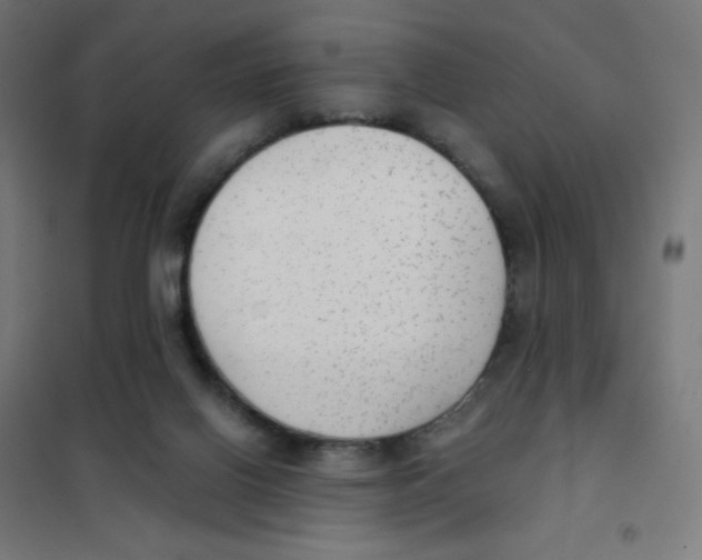 X0000101430070200808041201