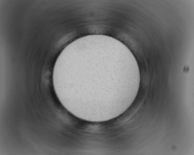 X0000101430071200808041201