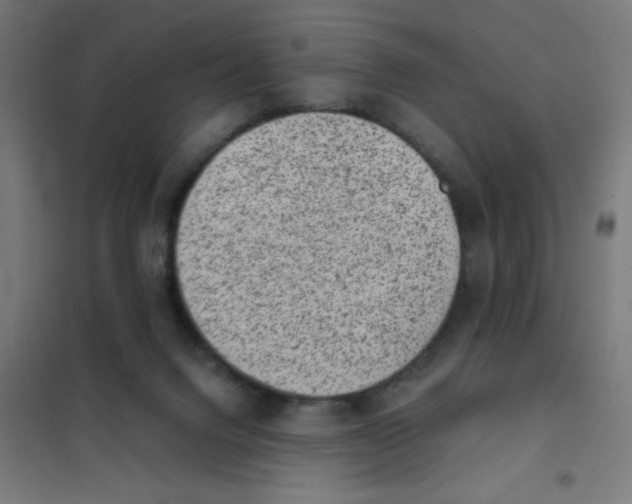 X0000101430072200808041201