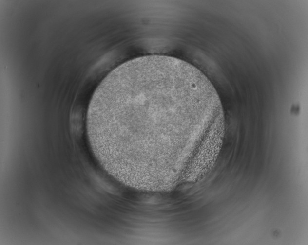 X0000101430074200808041201