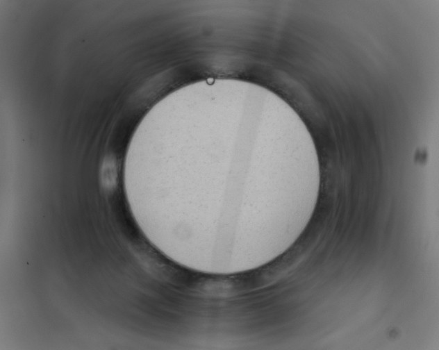 X0000101430075200808041201