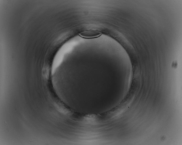 X0000101430076200808041201