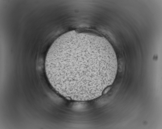 X0000101430077200808041201