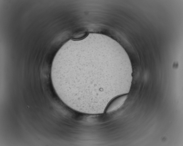 X0000101430078200808041201