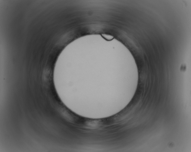 X0000101430079200808041201