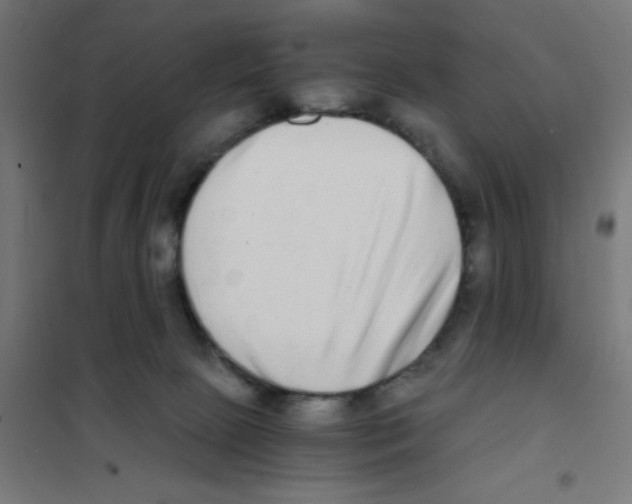 X0000101430081200808041201