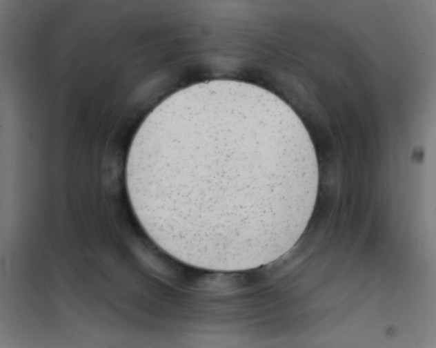 X0000101430082200808041201