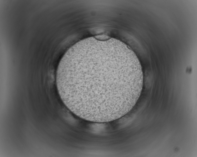 X0000101430085200808041201