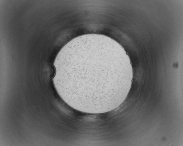 X0000101430086200808041201