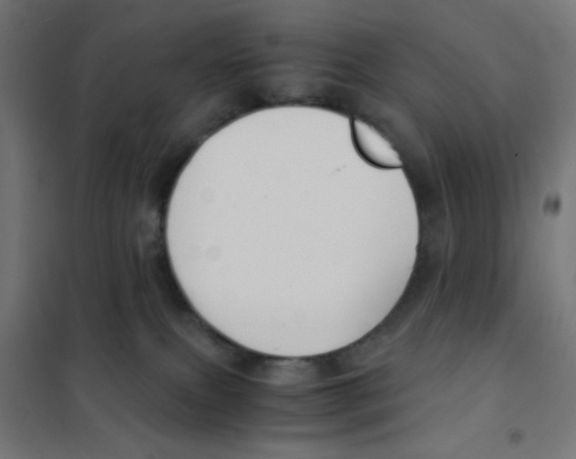 X0000101430087200808041201