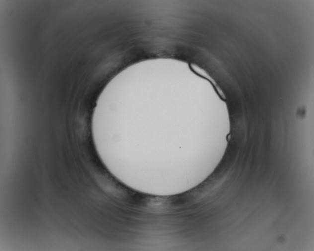 X0000101430088200808041201