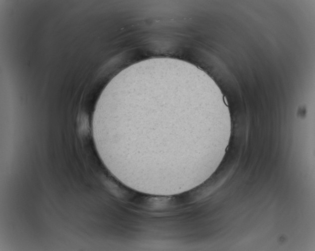 X0000101430089200808041201