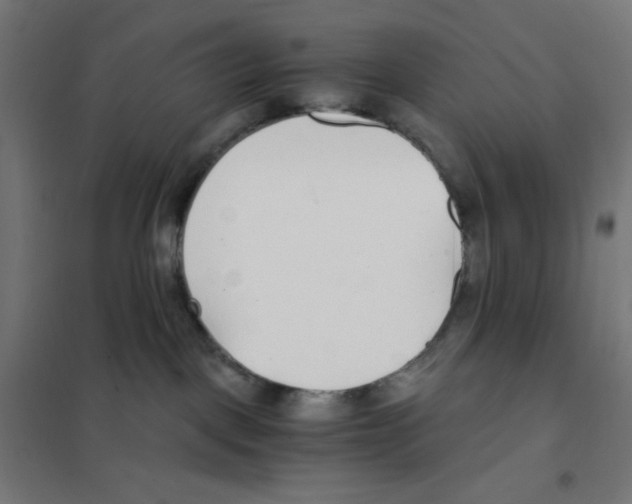 X0000101430093200808041201