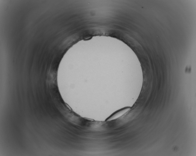 X0000101430096200808041201