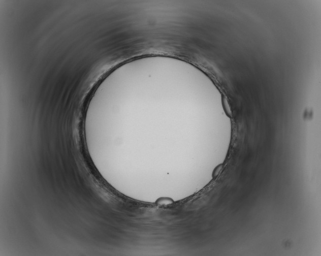 X0000101430098200808041200