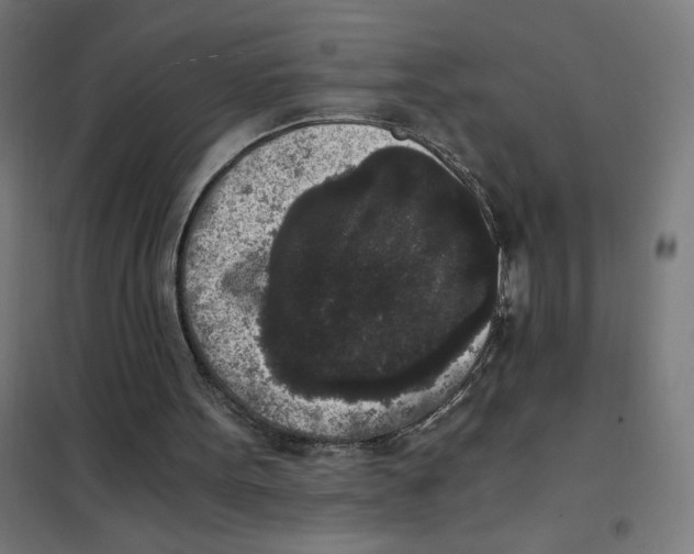 X0000101430099200808041200