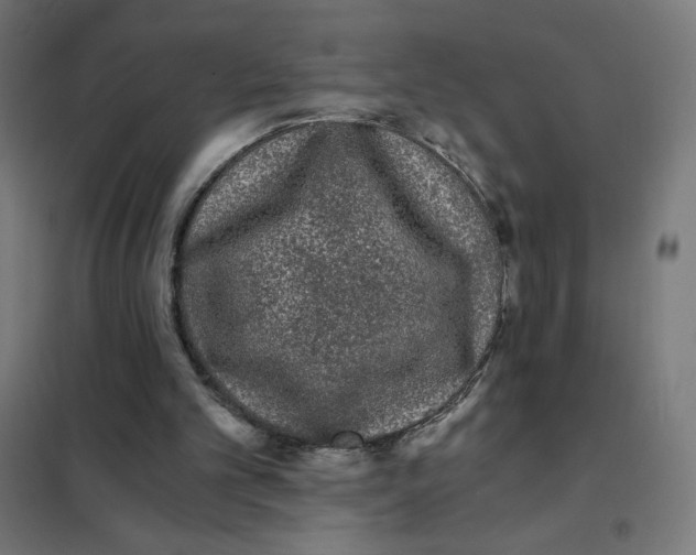 X0000101430101200808041200