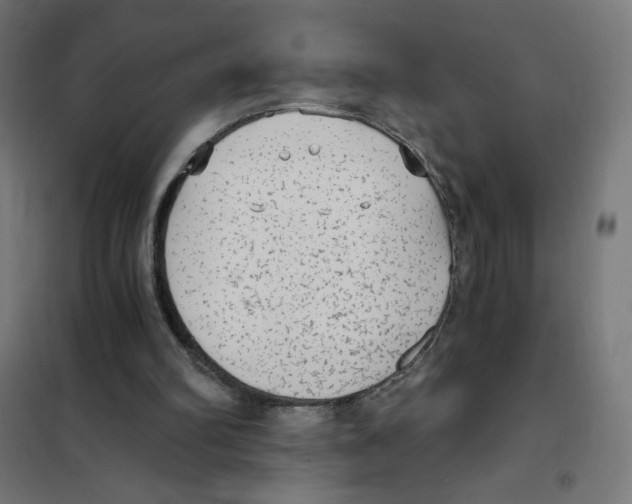 X0000101430102200808041200