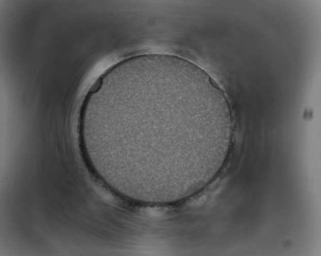 X0000101430103200808041200