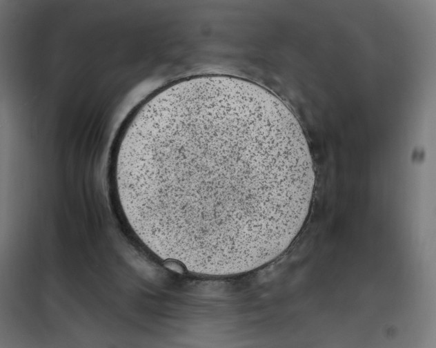 X0000101430104200808041200