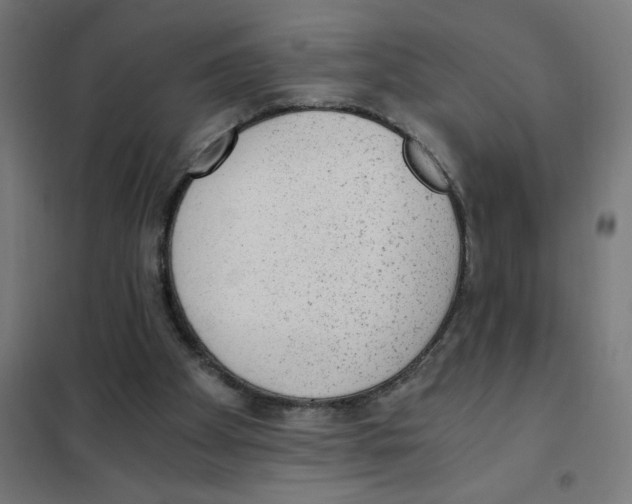 X0000101430105200808041200