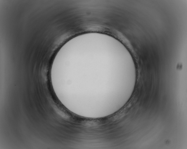 X0000101430106200808041200