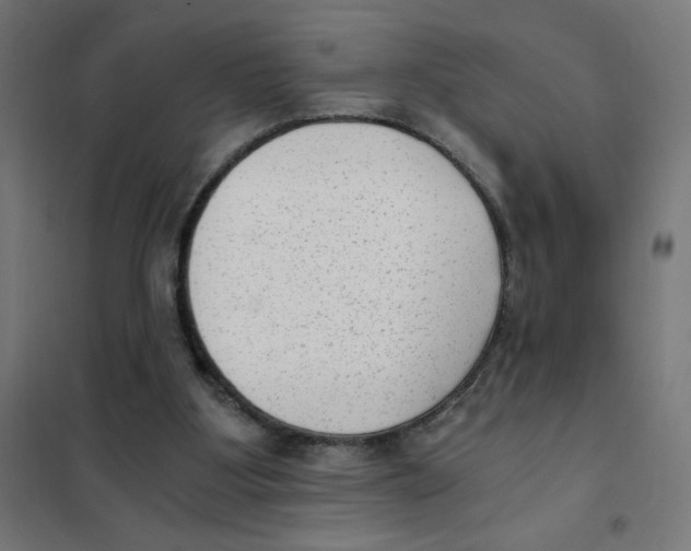 X0000101430107200808041200