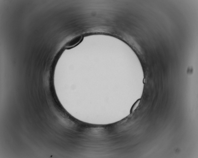 X0000101430108200808041200