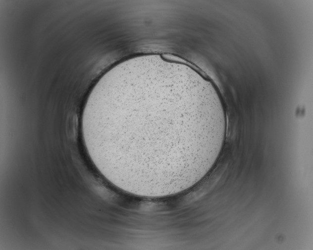 X0000101430109200808041200