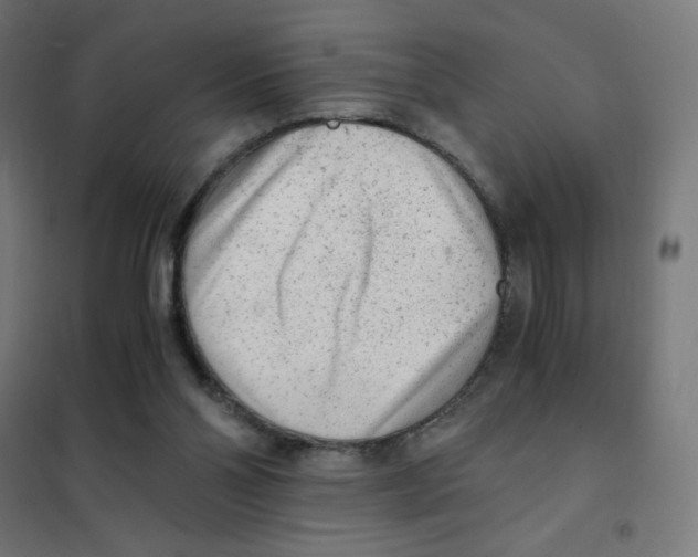 X0000101430110200808041200