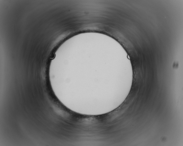 X0000101430112200808041200